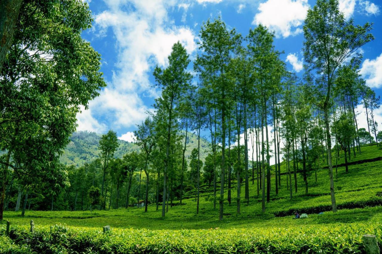 Biosphere Coonoor Zewnętrze zdjęcie