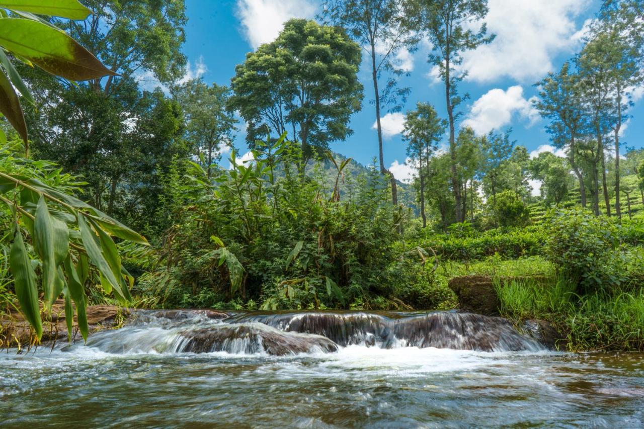 Biosphere Coonoor Zewnętrze zdjęcie